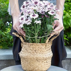 1Pc Large hanging plant stand, iron hooks, suitable for flowerpot decoration, indoor and outdoor use